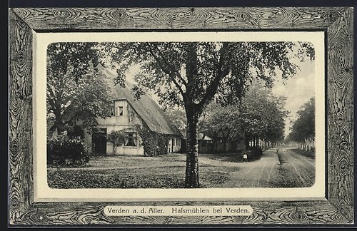 Cartolina verden tutto - d.,
