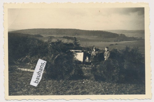 Foto eredità reggimento - foto,